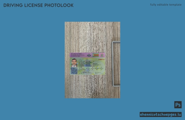 Beispielansicht eines Fotos für den simbabwischen Führerschein